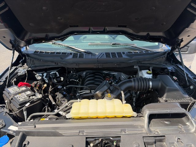 Used 2025 Ford F150 XLT w/ Equipment Group 301A Standard AWD/4WD image 29
