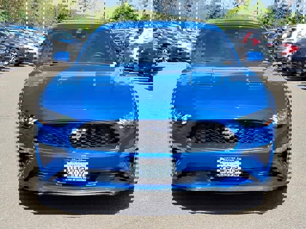 Used 2021 Ford Mustang EcoBoost w/ Equipment Group 101A image 2