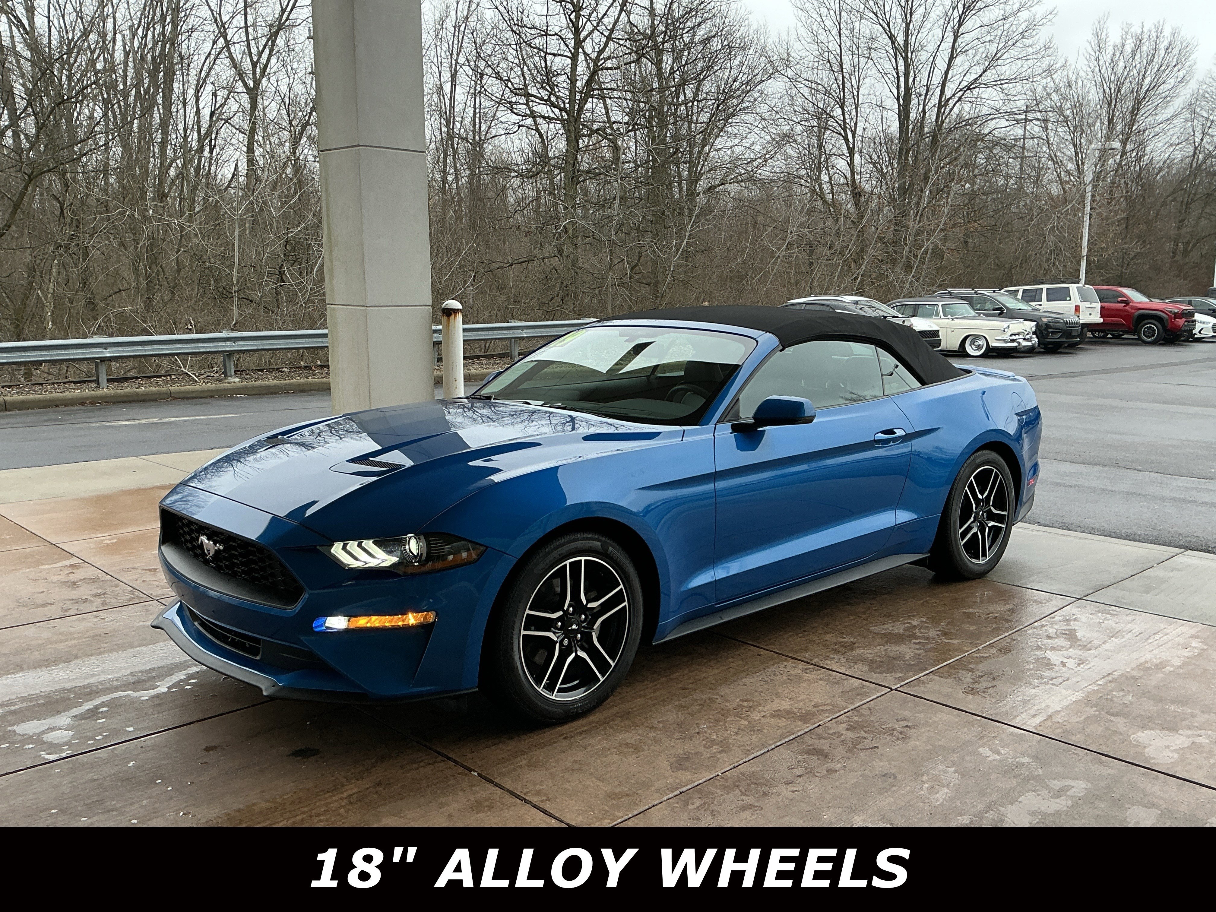 Used 2019 Ford Mustang Premium image 3