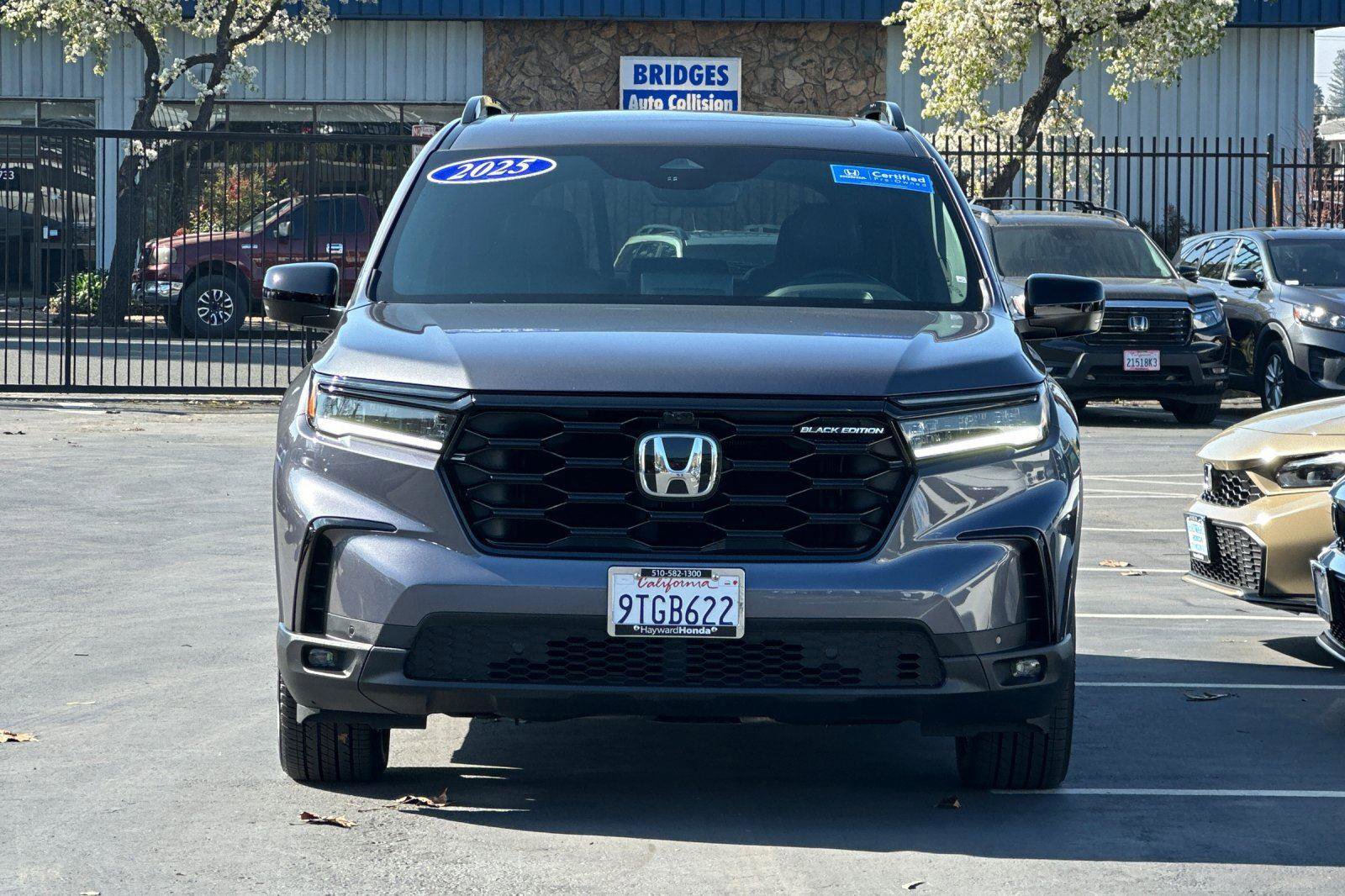 Certified 2025 Honda Pilot Black Edition image 8