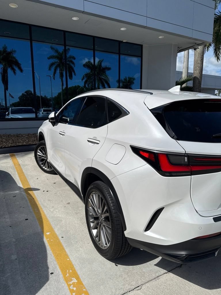 Used 2025 Lexus NX 350h AWD w/ Accessory Package (Z2) image 7