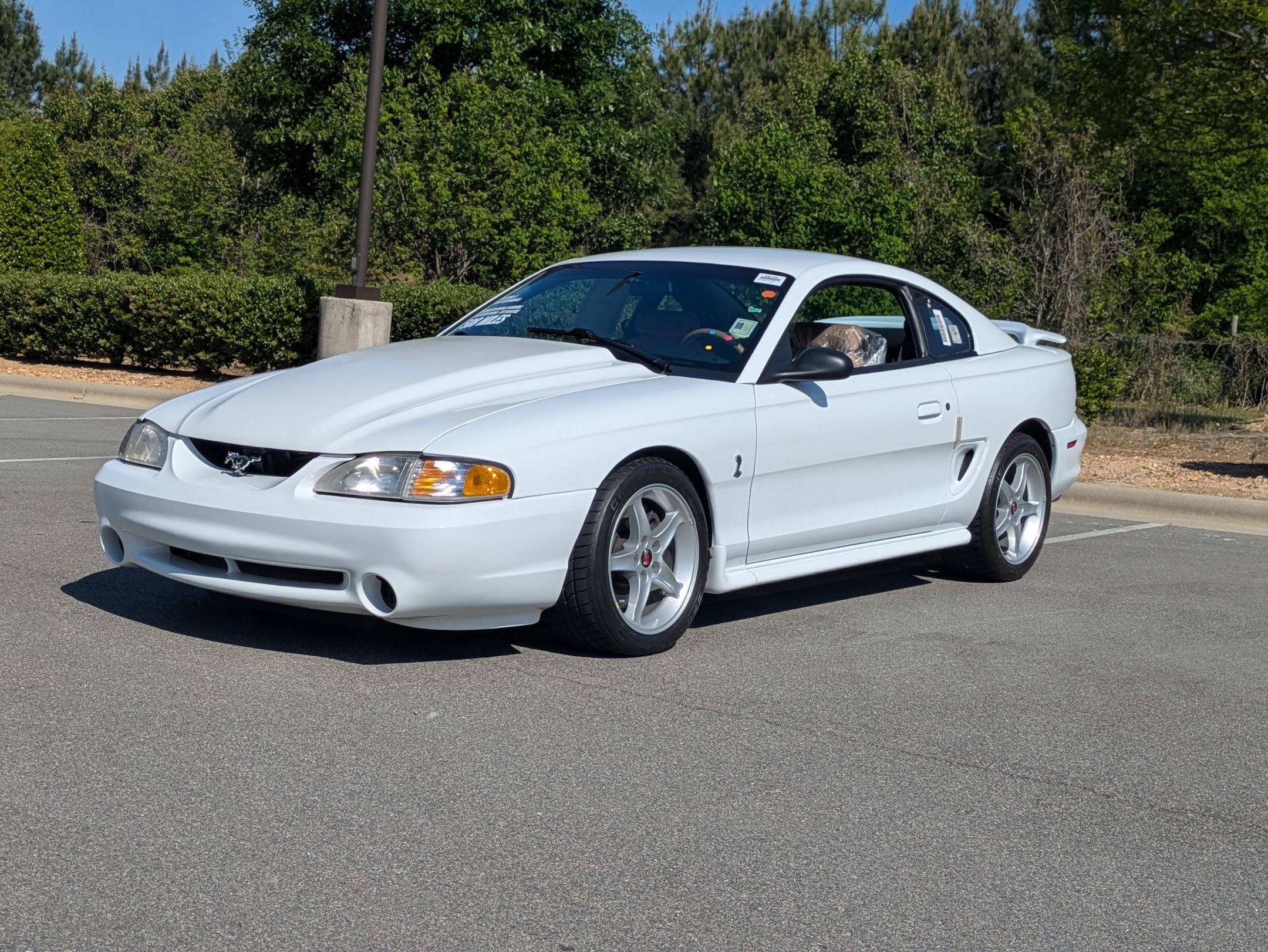 Used 1995 Ford Mustang Cobra R image 8