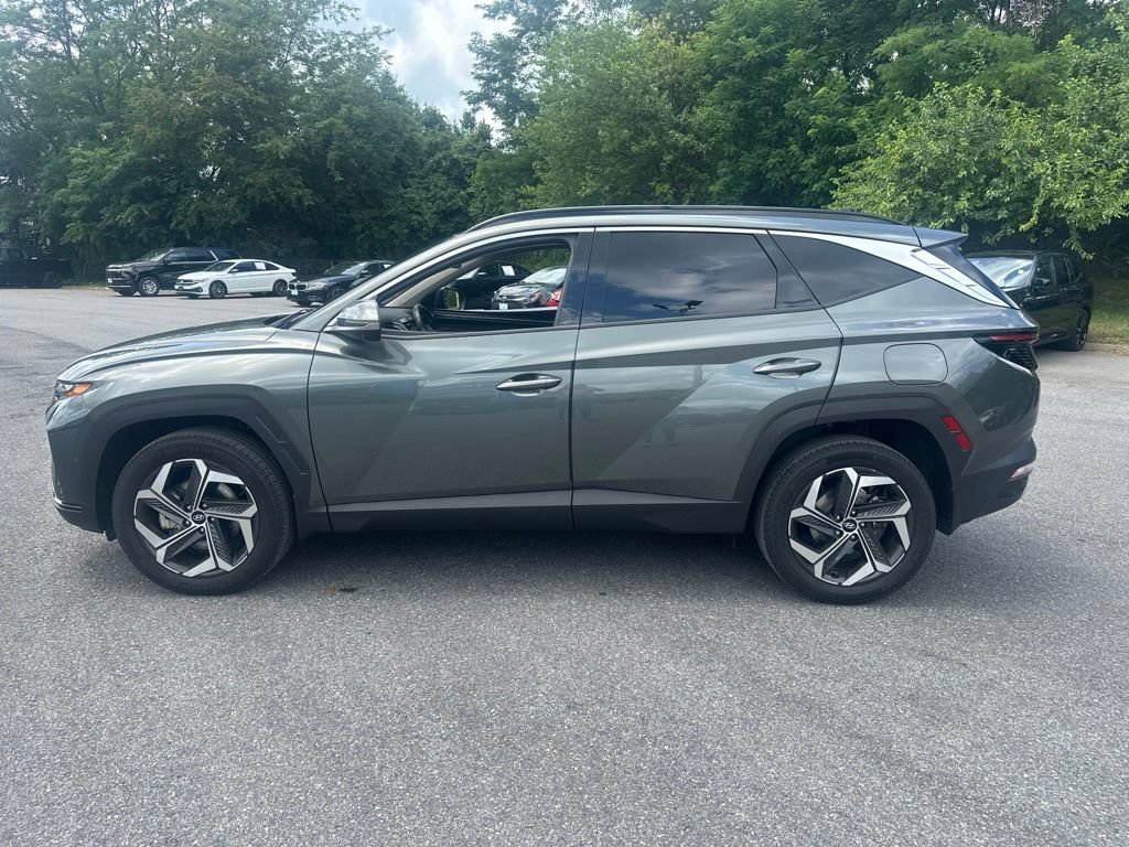 Used 2023 Hyundai Tucson Limited AWD/4WD image 8