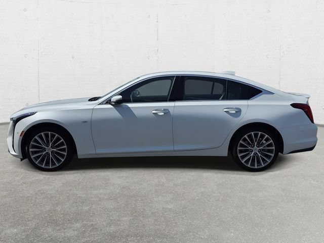 Certified 2025 Cadillac CT5 Premium Luxury w/ Sun And Sound Package AWD/4WD image 8