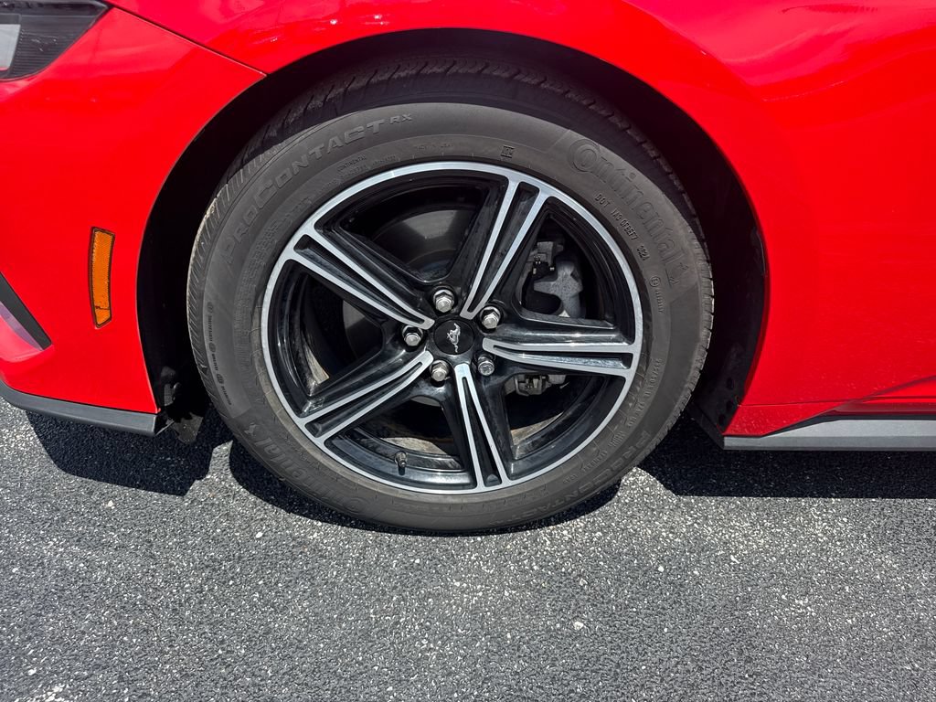 Used 2025 Ford Mustang Premium RWD image 13