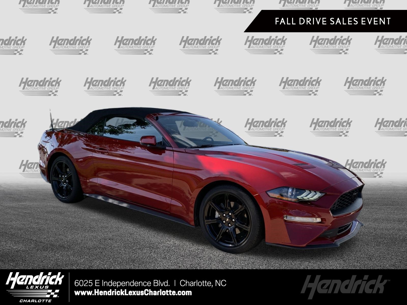 Used 2019 Ford Mustang Premium w/ Equipment Group 201A