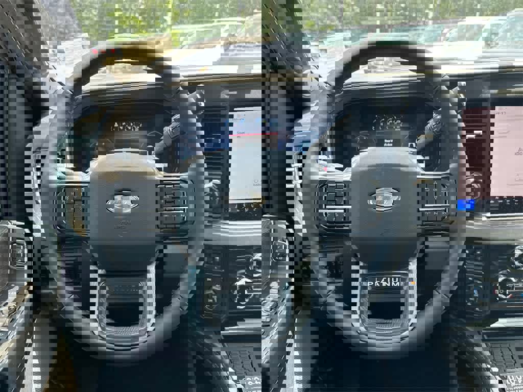 New 2025 Ford F250 Platinum image 19