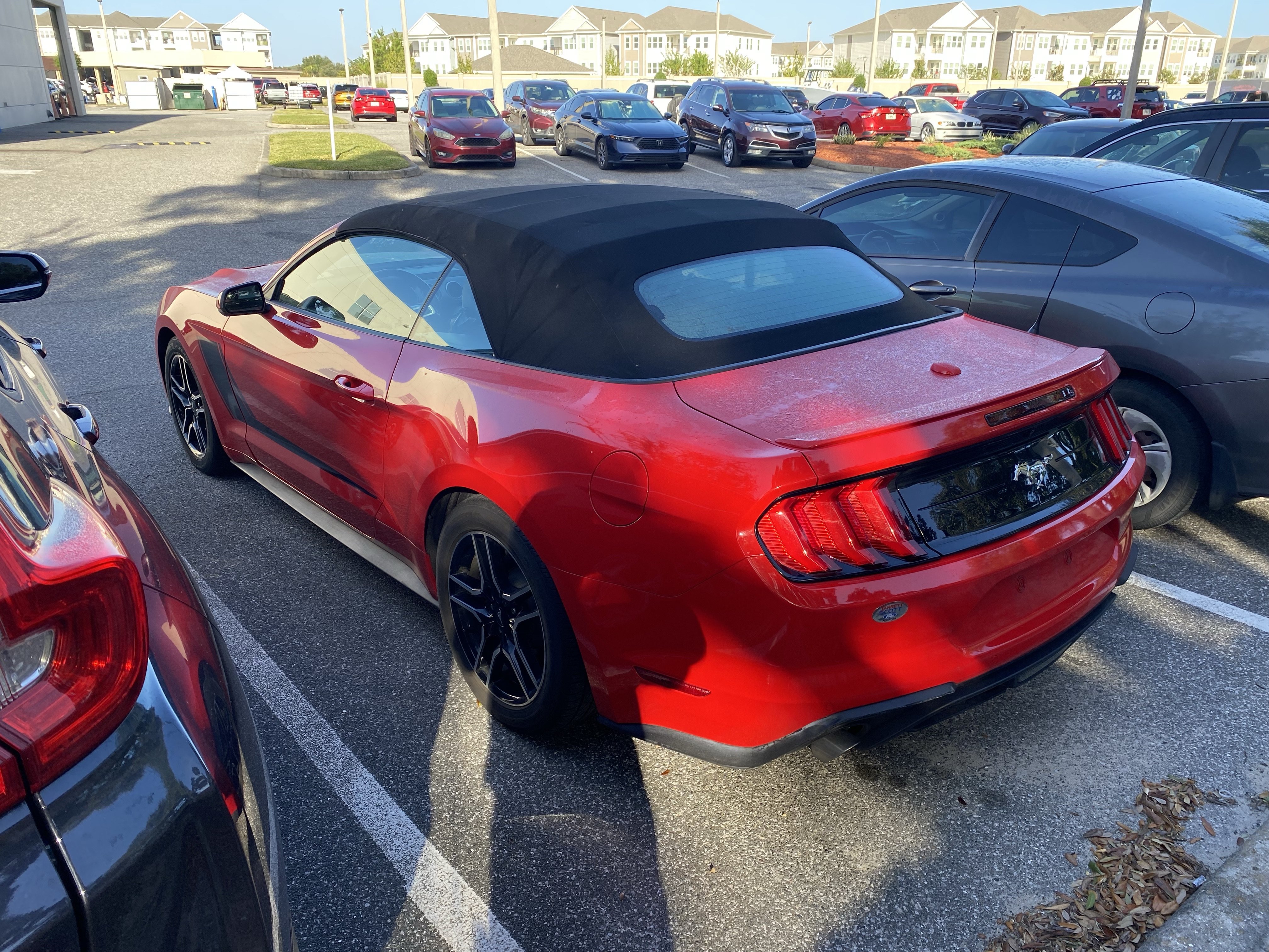 Used 2018 Ford Mustang Premium w/ Equipment Group 201A RWD image 10