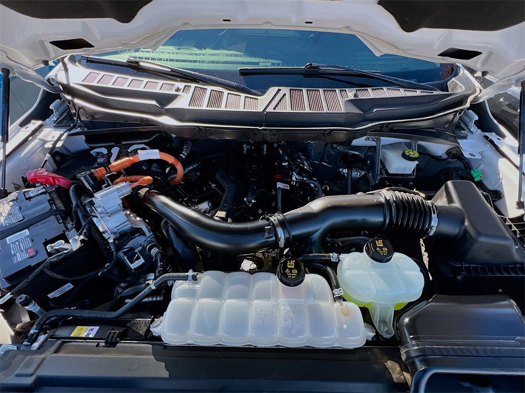 Used 2024 Ford F150 XLT w/ Mobile Office Package image 28