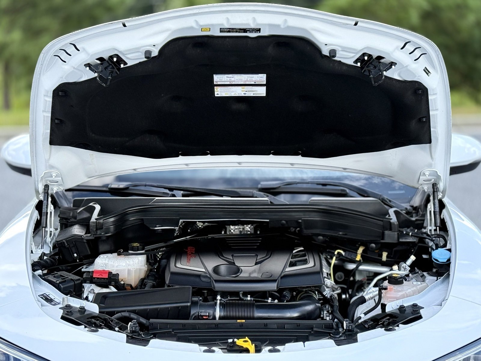 Used 2022 Alfa Romeo Stelvio Ti image 50