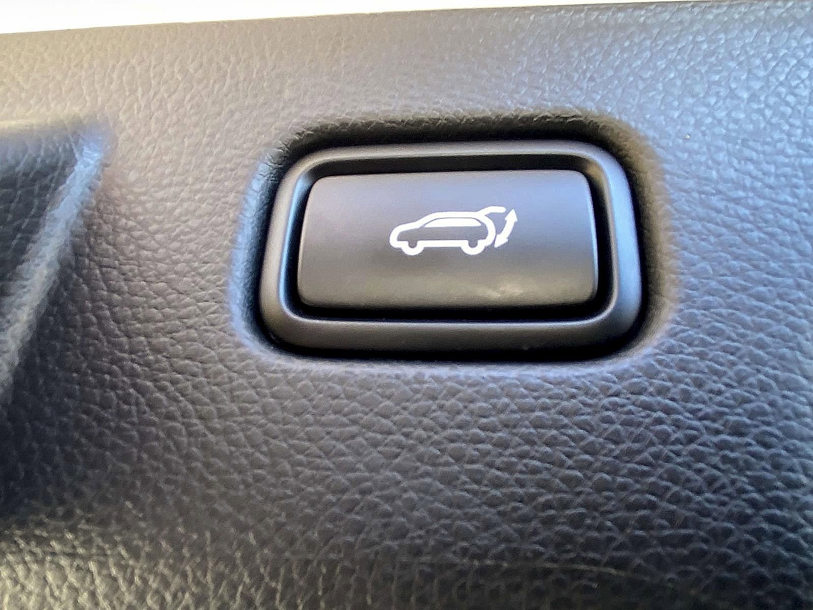 Used 2025 Kia Seltos SX w/ SX Sunroof Package image 12