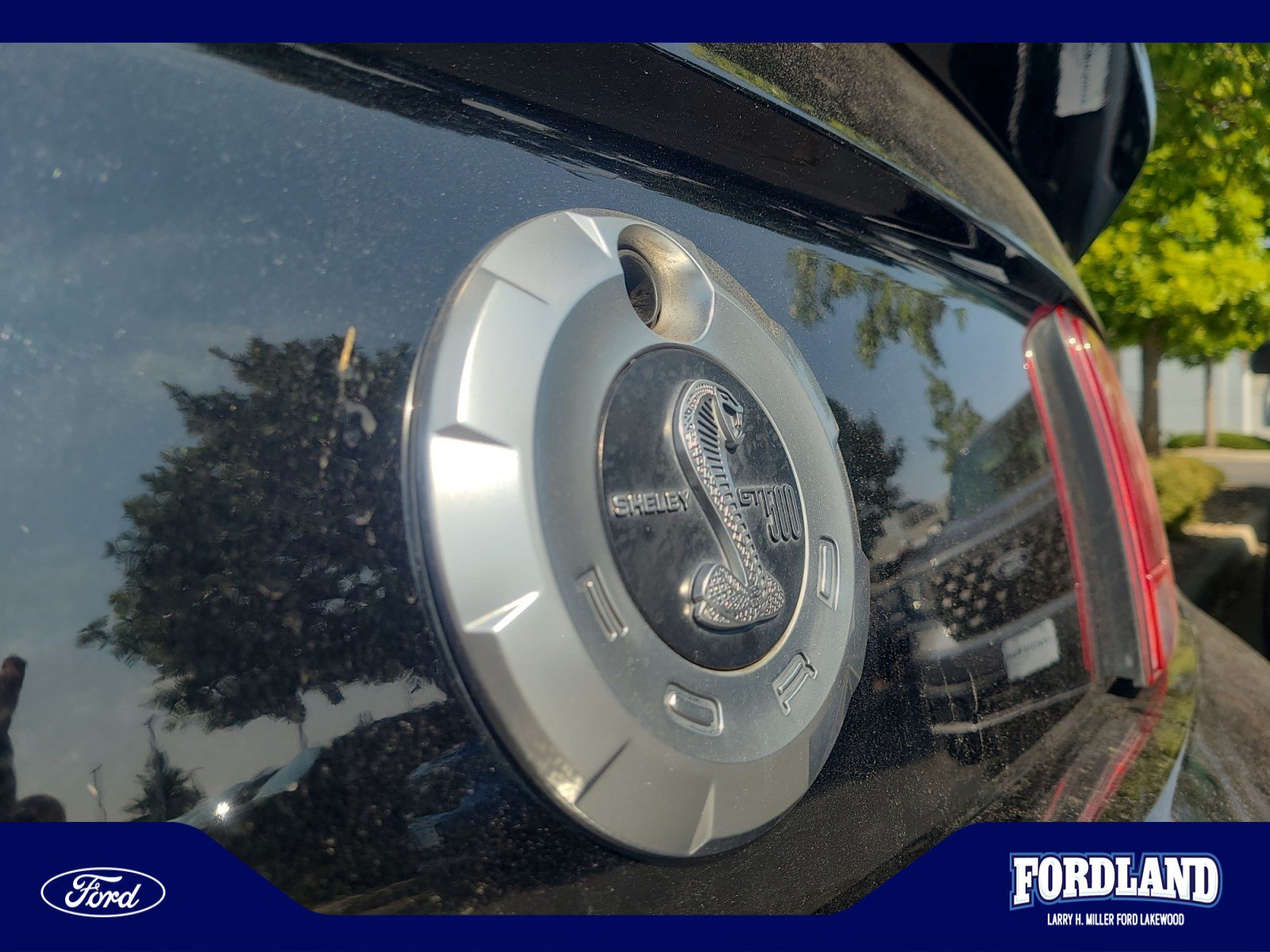 Used 2008 Ford Mustang Shelby GT500 RWD image 23