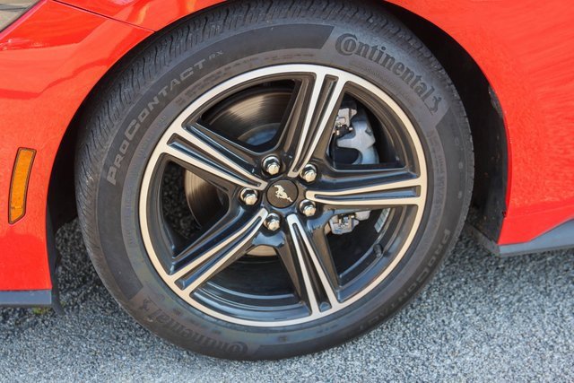 Used 2024 Ford Mustang Premium image 7