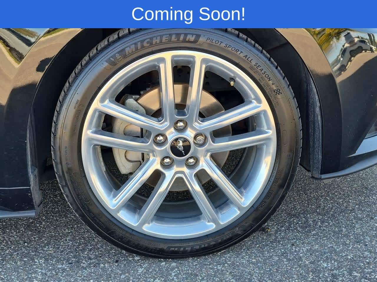 Used 2017 Ford Mustang Premium w/ Pony Package RWD image 13