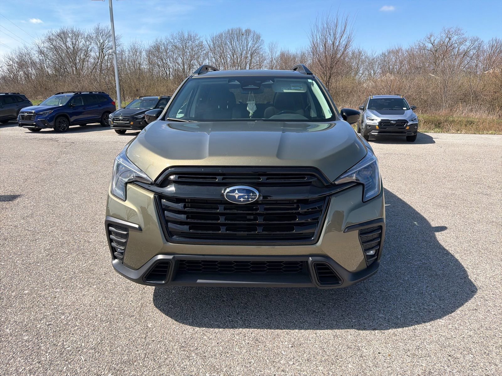 Certified 2024 Subaru Ascent Onyx Edition image 12