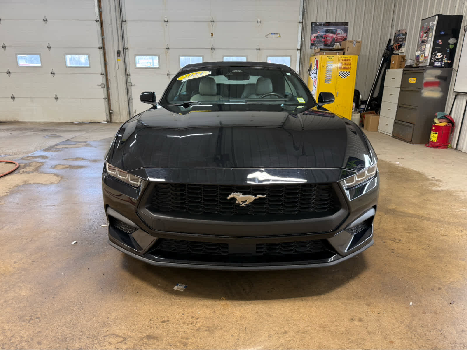Used 2024 Ford Mustang Premium image 3