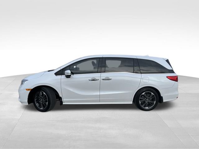 Used 2023 Honda Odyssey Elite image 4