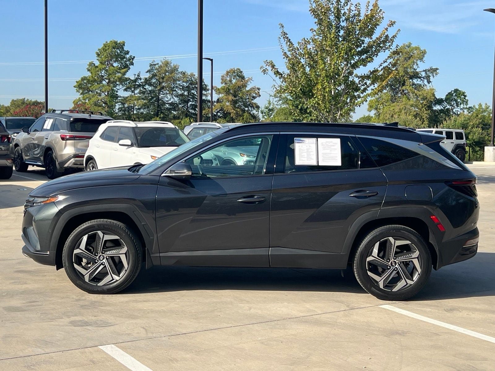 Used 2023 Hyundai Tucson Limited AWD/4WD image 6