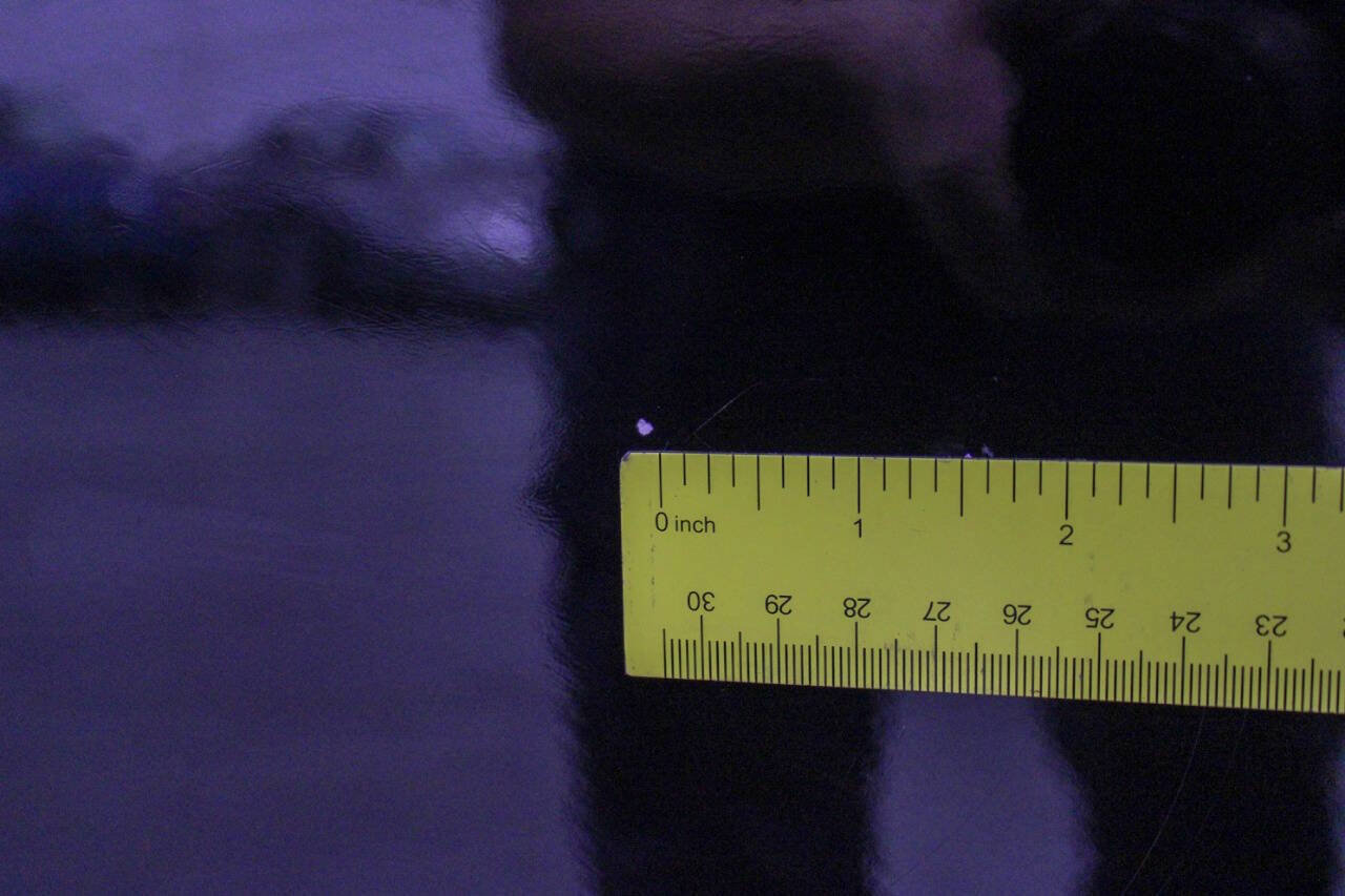 Used 1999 Dodge Dakota Sport image 30