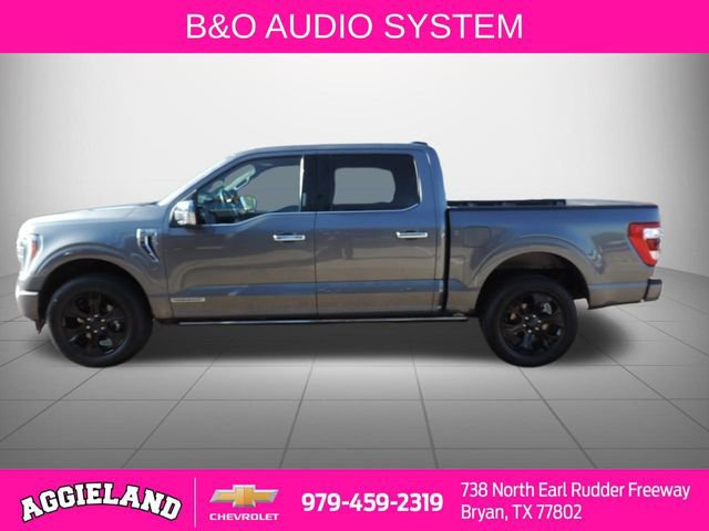Used 2022 Ford F150 Platinum image 7
