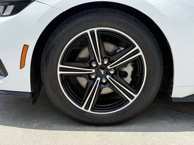 Used 2025 Ford Mustang Premium RWD image 11