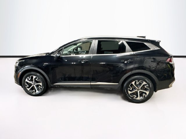 Used 2023 Kia Sportage EX AWD/4WD image 4
