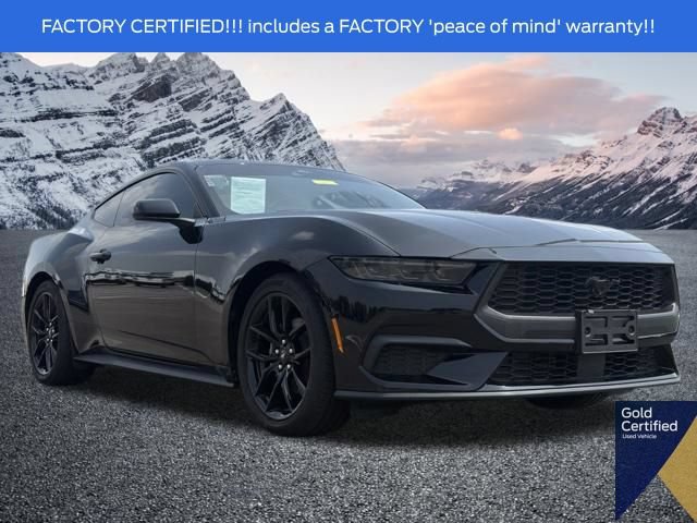 Used 2024 Ford Mustang Coupe w/ Mustang Nite Pony Package RWD image 1