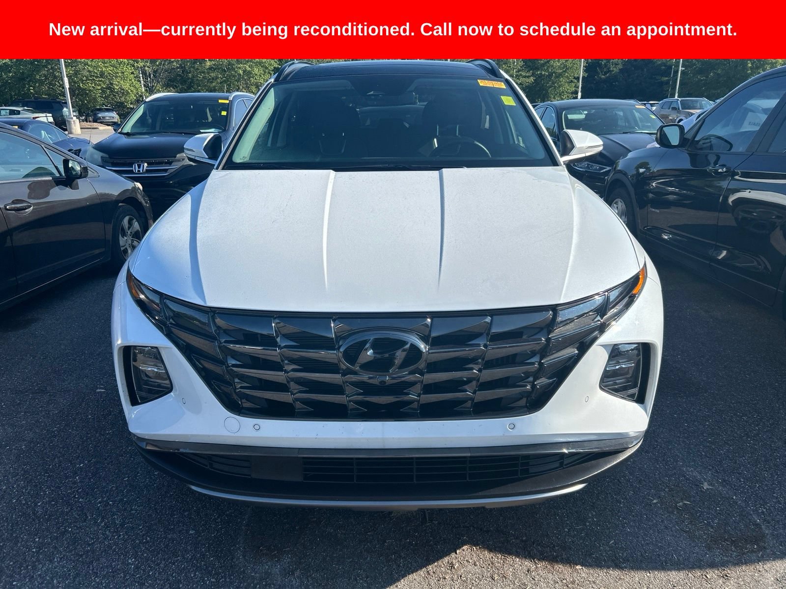 Used 2024 Hyundai Tucson Limited AWD/4WD image 1
