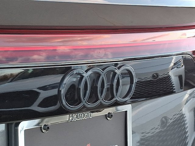 New 2026 Audi RS Q8 performance image 20