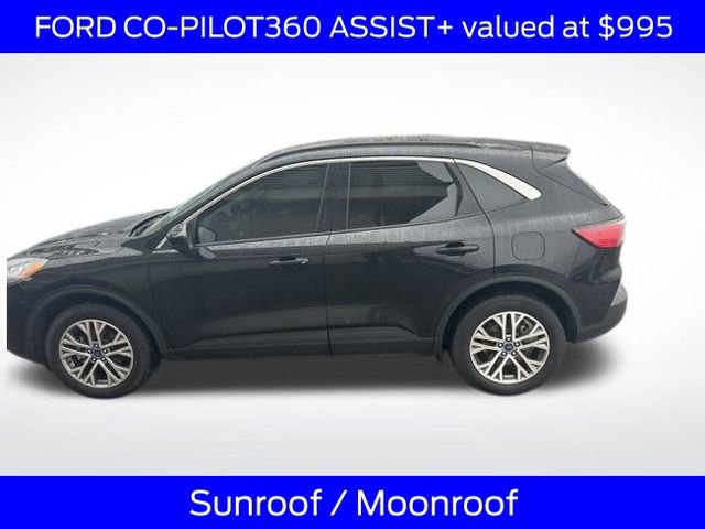 Certified 2022 Ford Escape SEL image 4