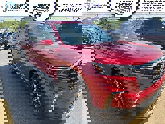 Used 2024 Honda Pilot Elite image 1