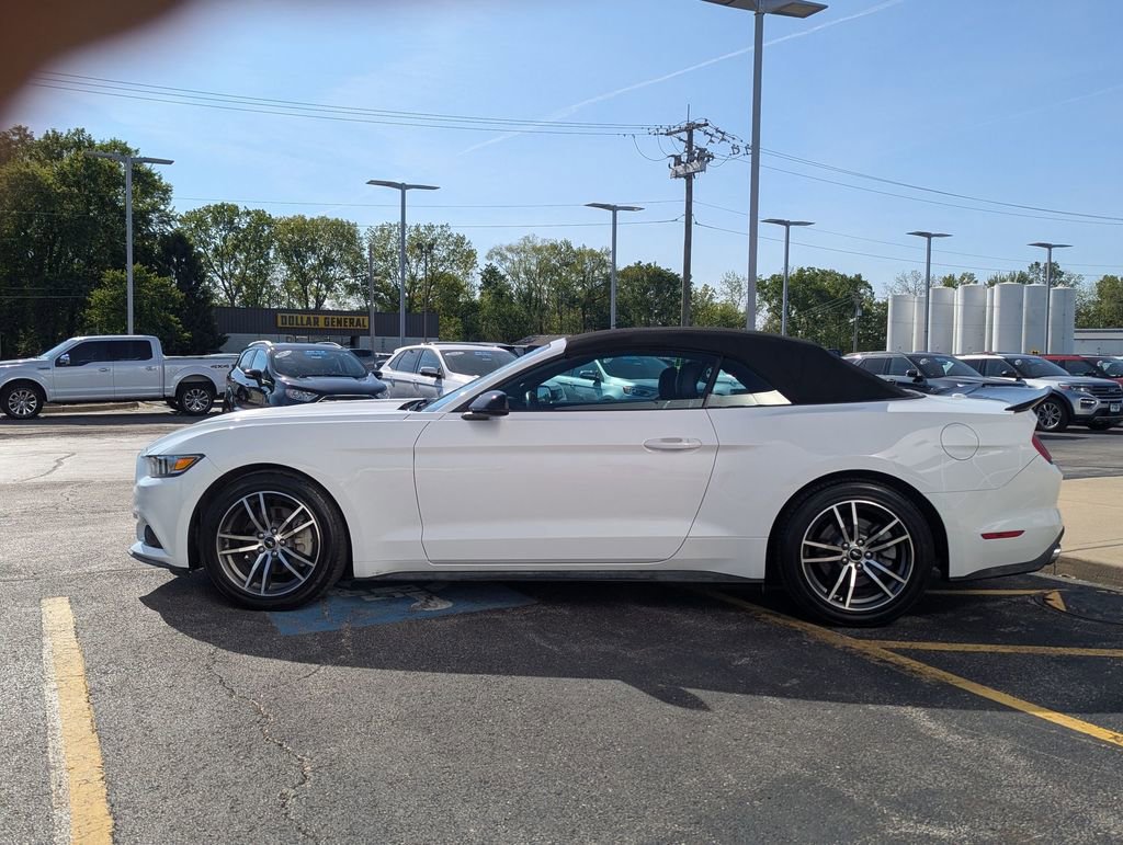 Used 2017 Ford Mustang Premium w/ Equipment Group 201A RWD image 6