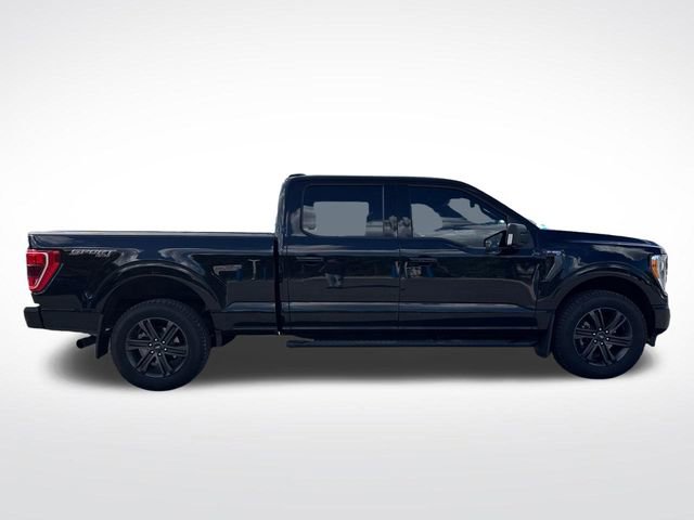 Used 2021 Ford F150 XLT w/ Equipment Group 302A High AWD/4WD image 7