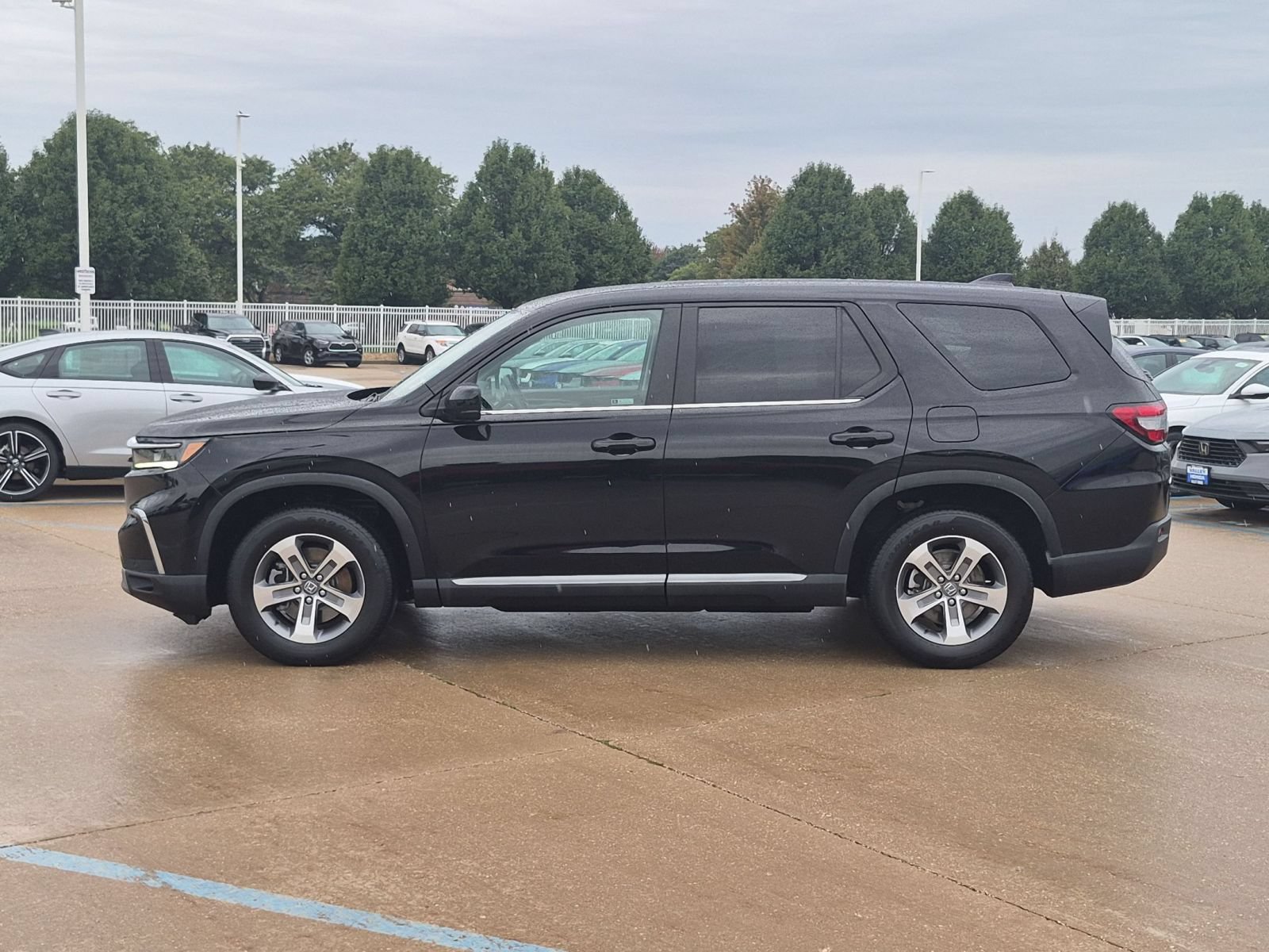 Certified 2025 Honda Pilot EX-L image 9