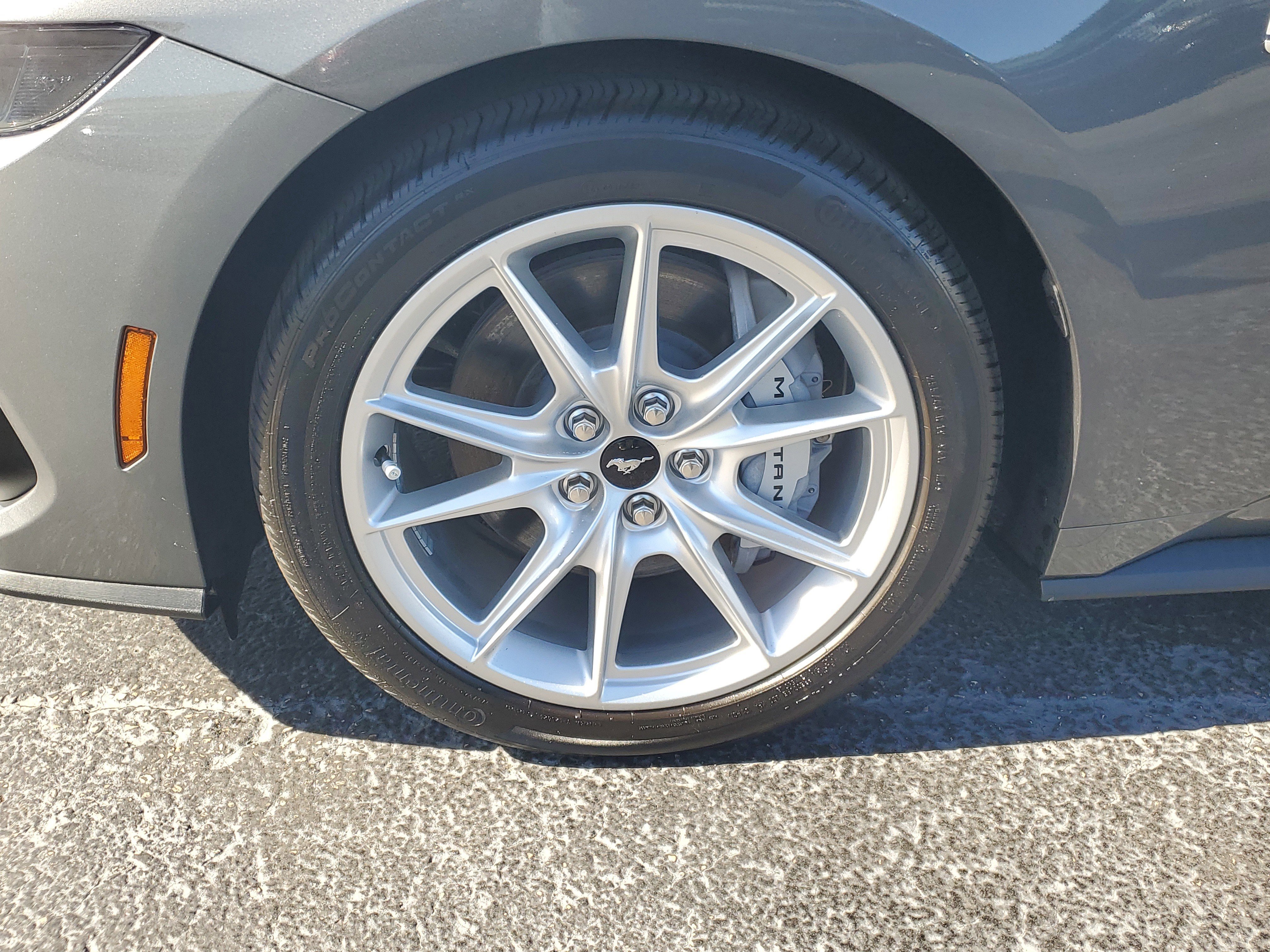 Used 2025 Ford Mustang GT Premium image 5