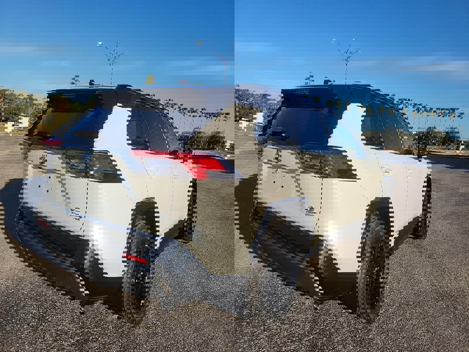 Used 2019 Toyota RAV4 XSE image 5