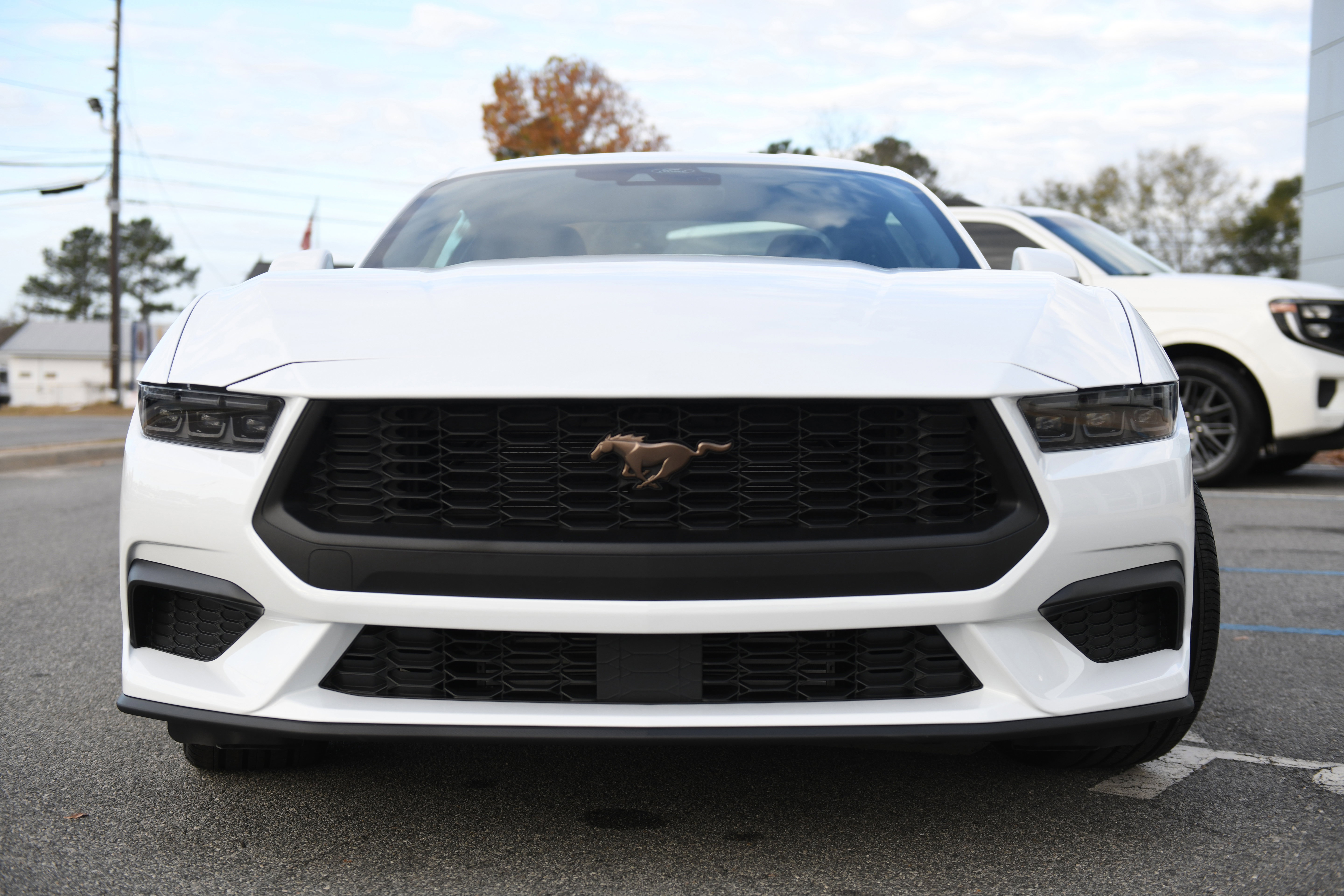 New 2026 Ford Mustang EcoBoost w/ Bronze Appearance Package image 5