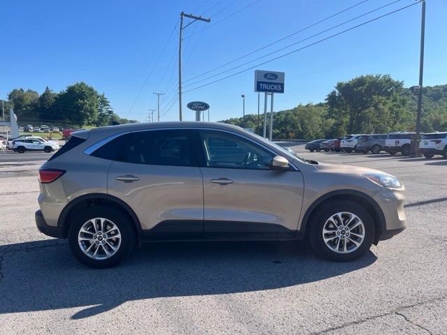 Used 2020 Ford Escape SE AWD/4WD image 4