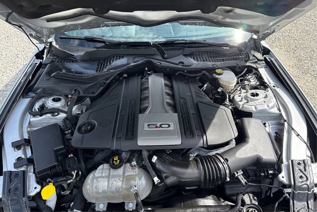 Used 2019 Ford Mustang GT Premium w/ Equipment Group 401A RWD image 11