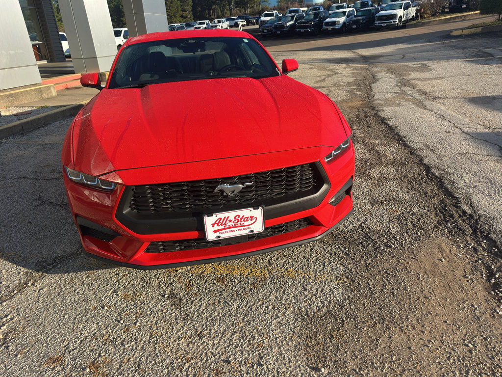 Used 2024 Ford Mustang EcoBoost image 2