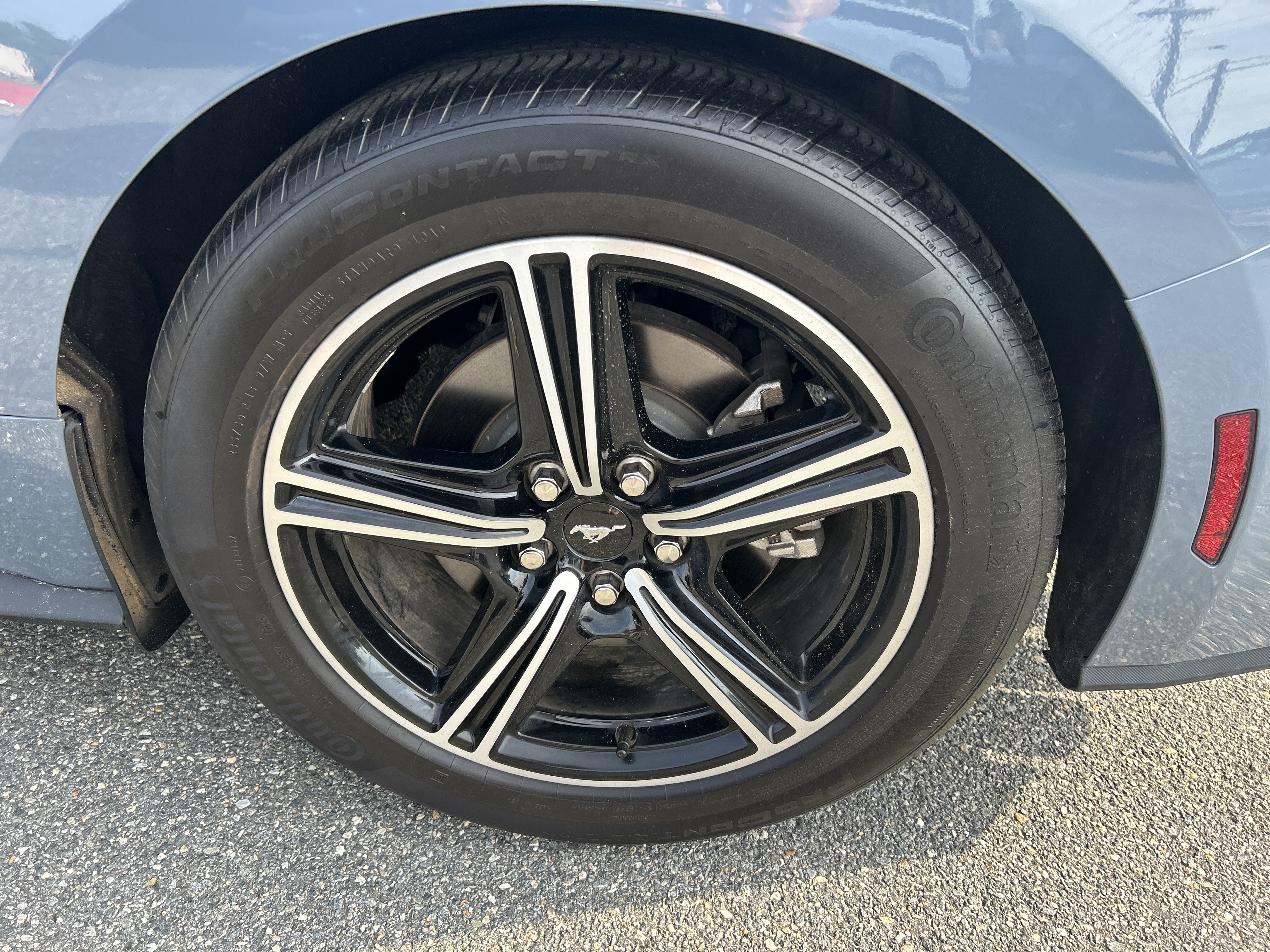 Certified 2024 Ford Mustang Premium RWD image 15