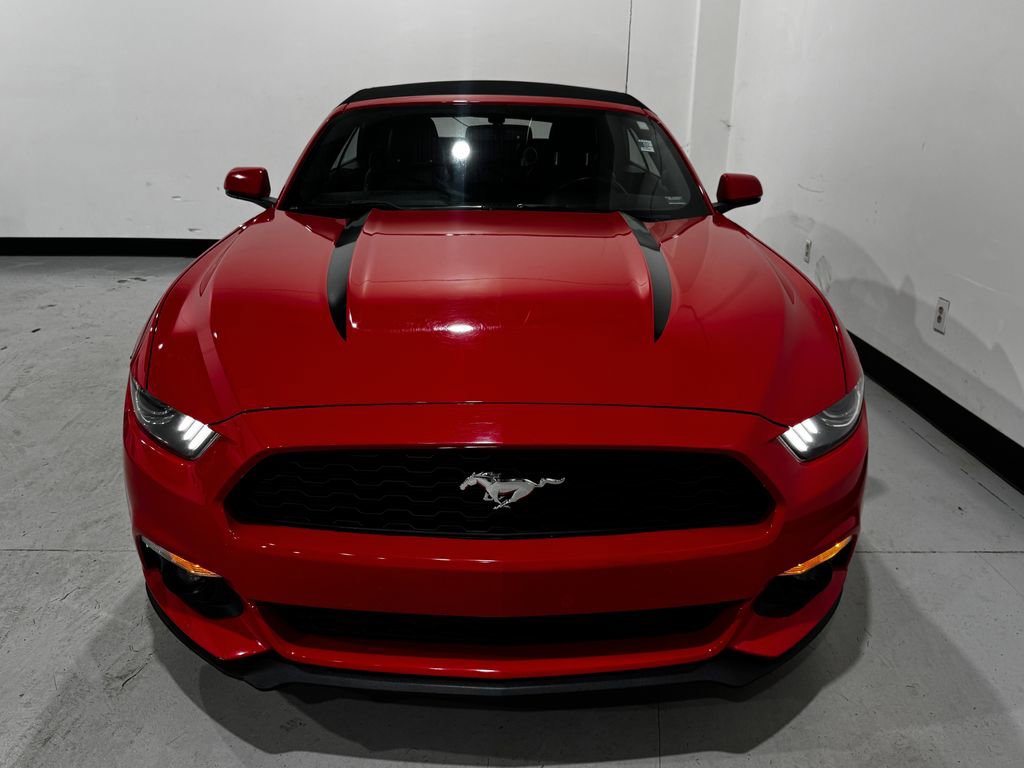Used 2017 Ford Mustang Premium image 8
