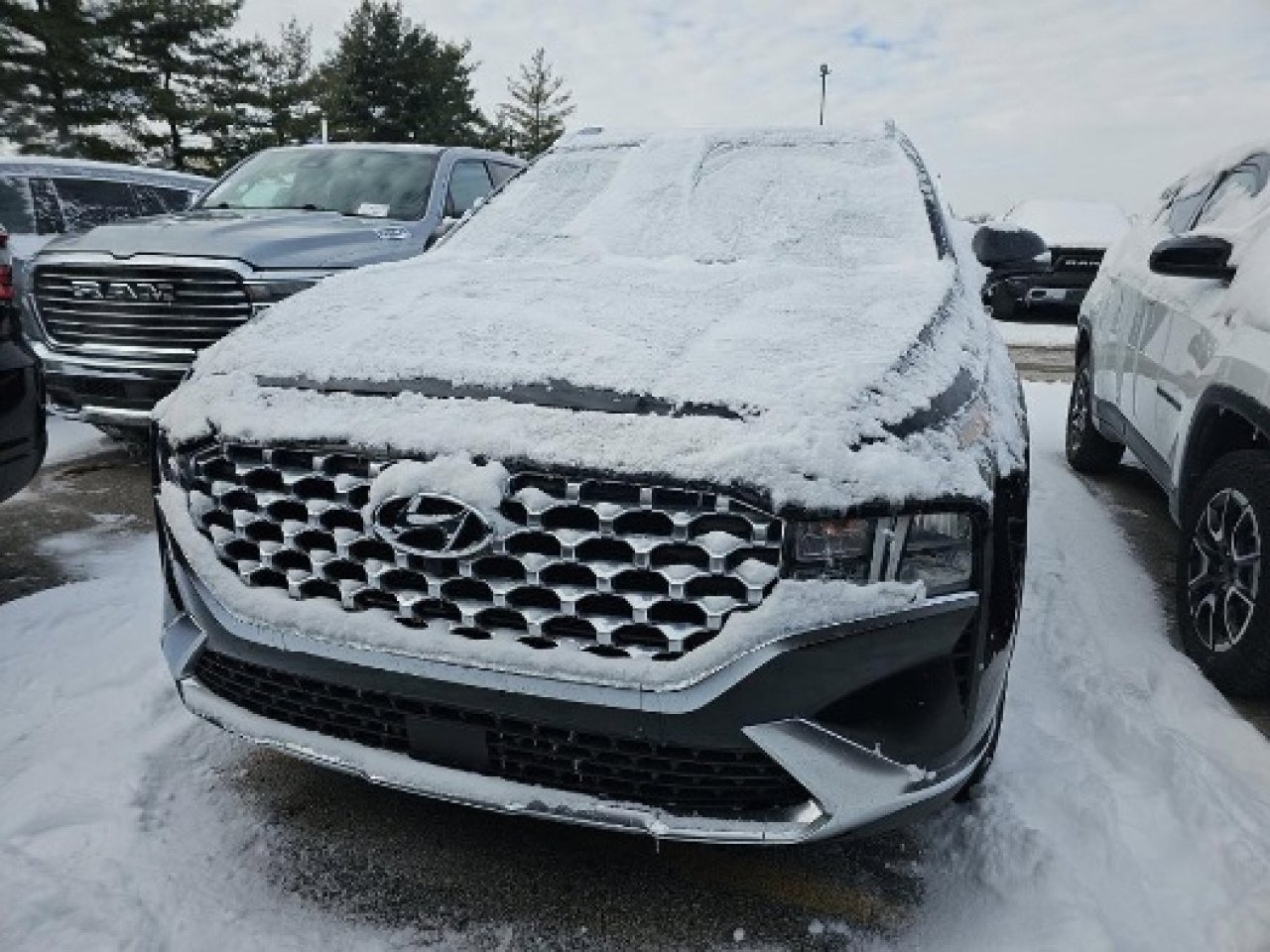 Used 2023 Hyundai Santa Fe SEL w/ Premium Package image 3