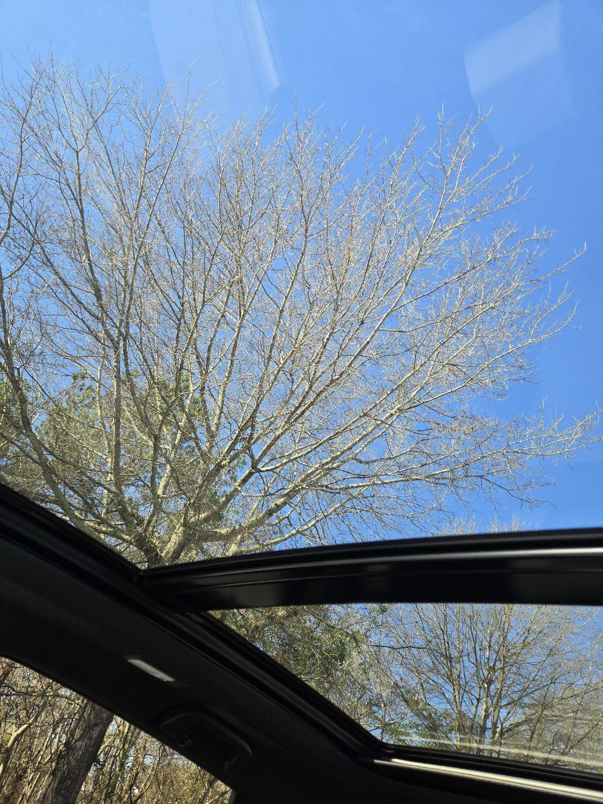 Certified 2025 Acura RDX A-Spec image 41