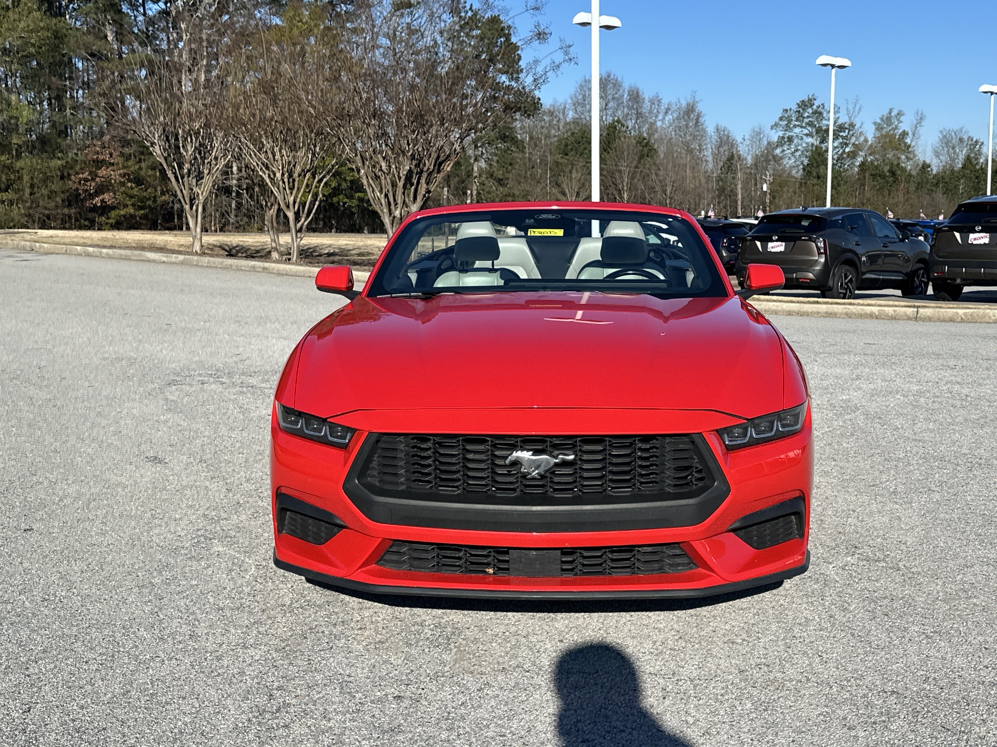 Used 2024 Ford Mustang Premium image 2