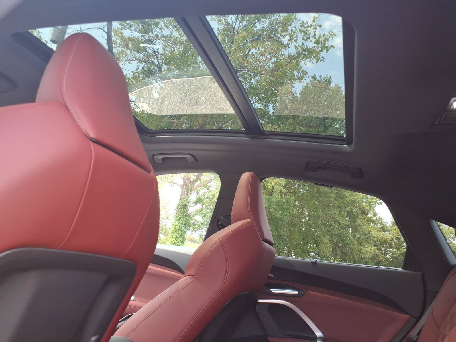 New 2026 Audi SQ5 Prestige AWD/4WD image 11
