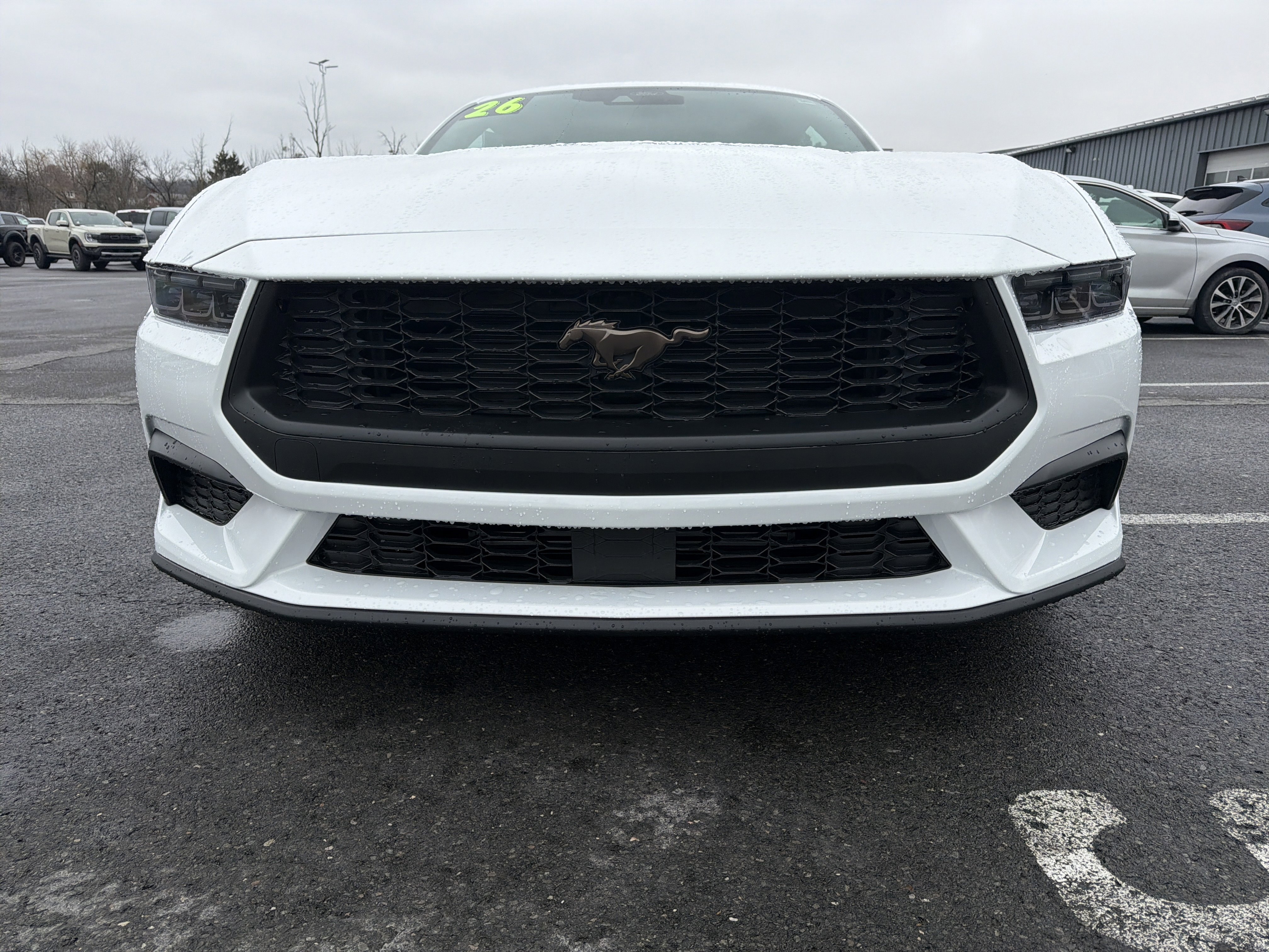 Used 2026 Ford Mustang EcoBoost image 9