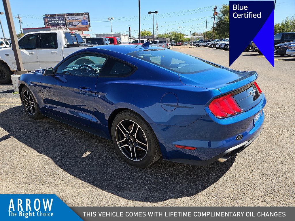 Certified 2023 Ford Mustang Coupe w/ Equipment Group 101A RWD image 8