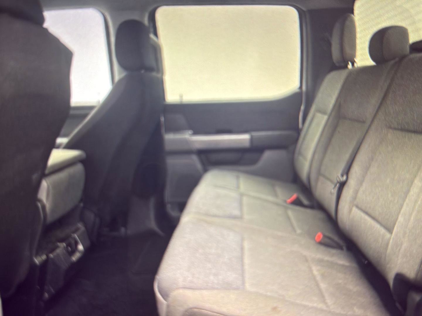 Used 2025 Ford F150 XLT w/ Equipment Group 301A Standard image 8