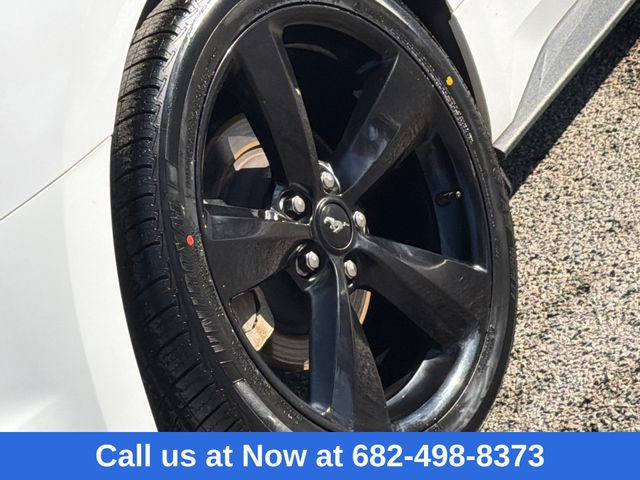 Certified 2022 Ford Mustang EcoBoost w/ Equipment Group 101A image 9